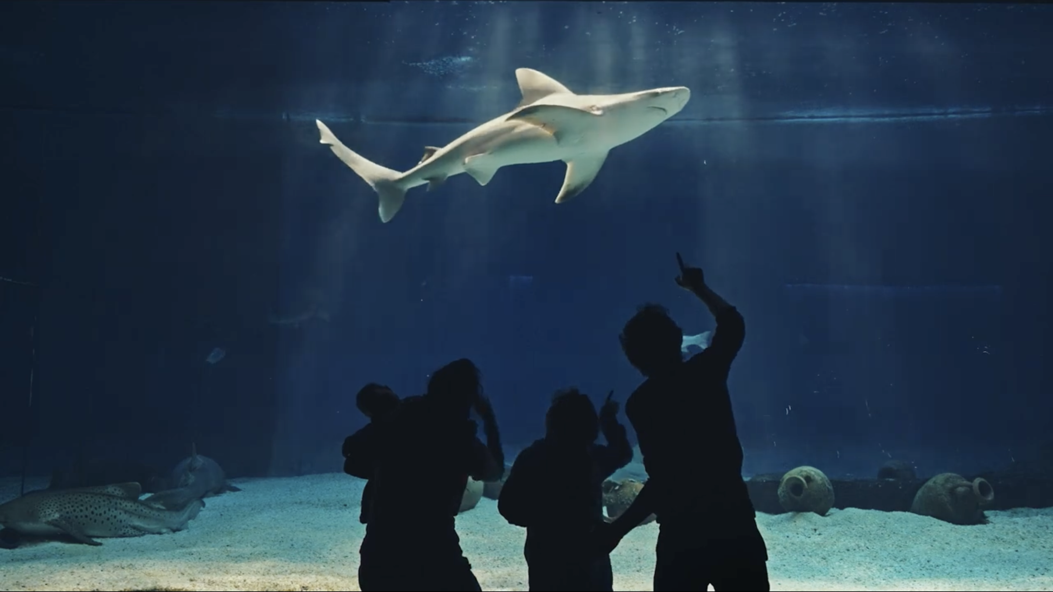 Acquario di Genova